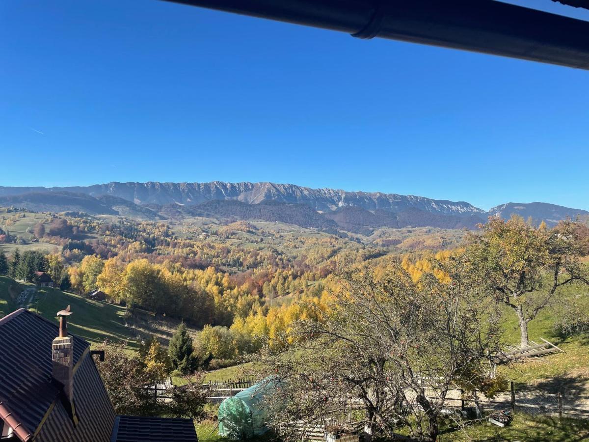 Prater House Mountain View Villa โมเอเชอ เด จอส ภายนอก รูปภาพ